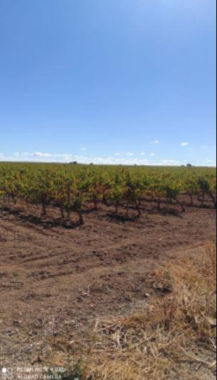 Finca rústica en Ciudad Real
