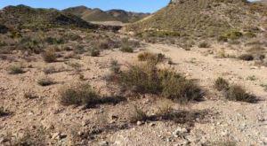 Finca rústica en Almeria