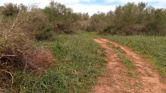 Finca rústica en Illes Balears