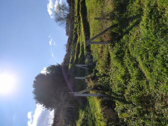 Finca rústica en Pontevedra