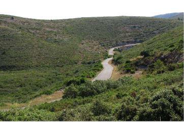 Finca rústica en Castellon
