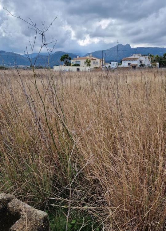 Finca rústica en Alicante/Alacant