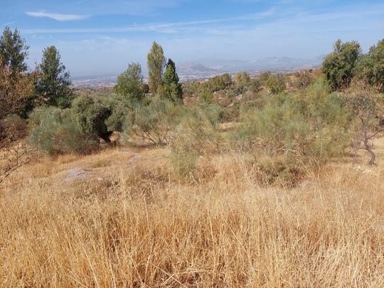 Finca rústica en Granada