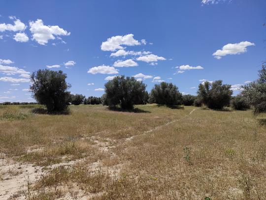 Finca rústica en Madrid