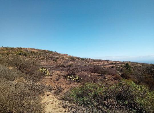 Finca rústica en Tenerife