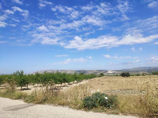 Finca rústica en Alicante