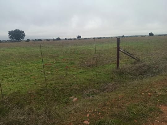 Finca rústica en Ciudad Real