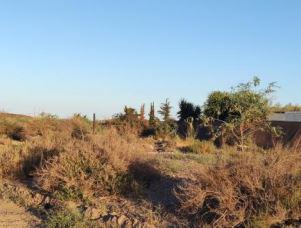 Finca rústica en Murcia