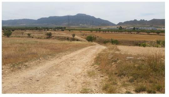 Finca rústica en Murcia