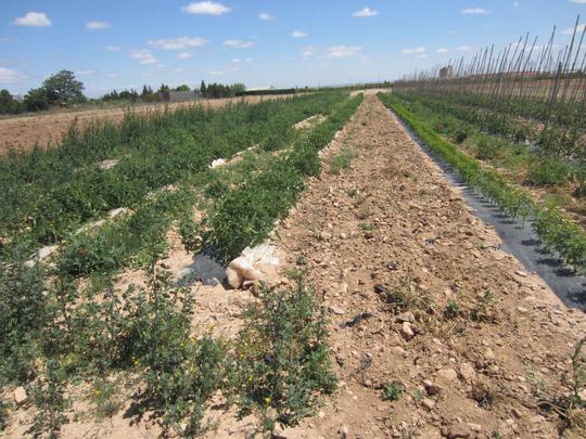 Finca rústica en Navarra