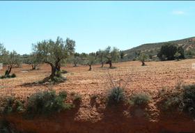 Finca rustica en Toledo