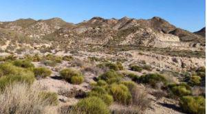Finca rústica en Almeria