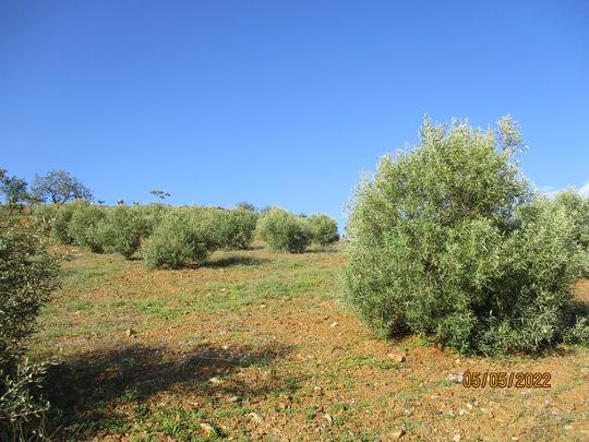 Finca rústica en Almeria