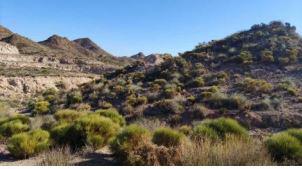 Finca rústica en Almeria