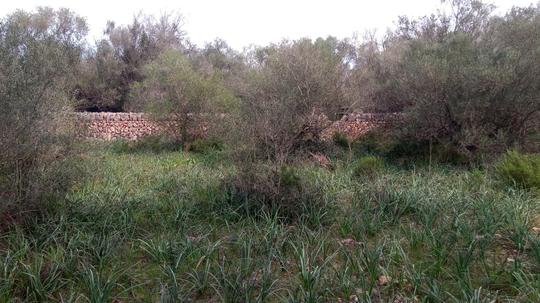 Finca rústica en Illes Balears
