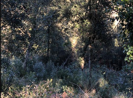 Solar en Girona