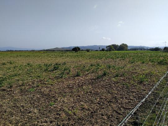 Finca rústica en Cadiz