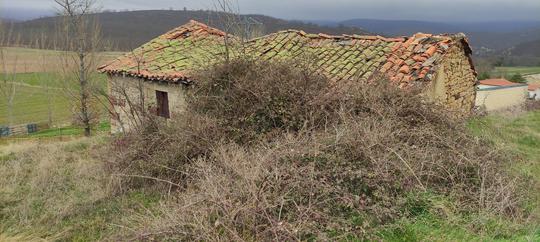 Solar en Palencia