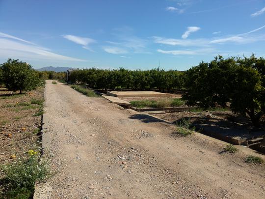 Finca rústica en Castellon/Castello