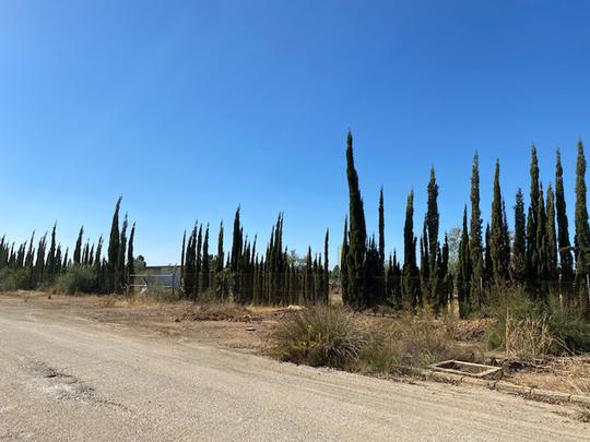 Finca rústica en Sevilla