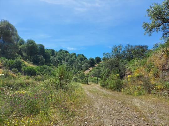 Finca rústica en Sevilla