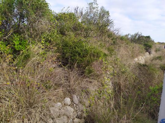 Finca rústica en Valencia