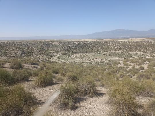 Finca rústica en Granada