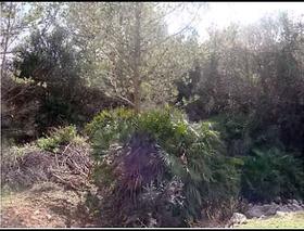 Finca rustica en Alicante