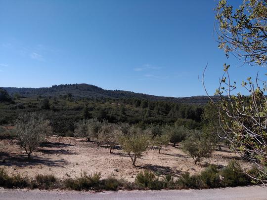 Finca rústica en Valencia