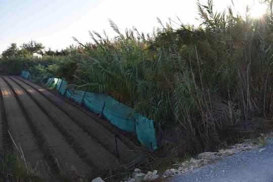 Finca rústica en Cadiz