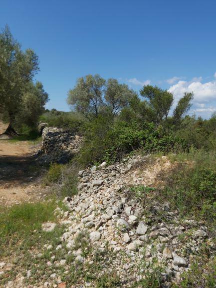 Finca rústica en Castellon