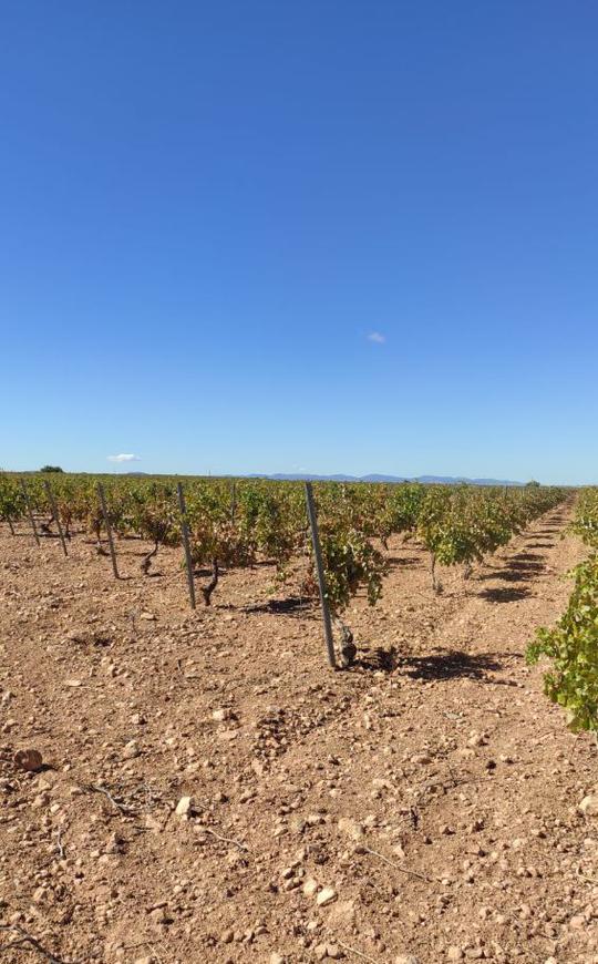 Finca rústica en Ciudad Real