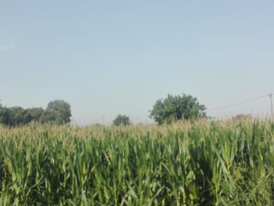 Finca rústica en Lerida