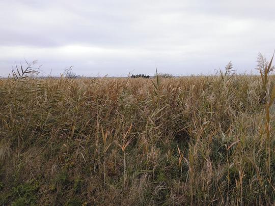 Finca rústica en Zaragoza