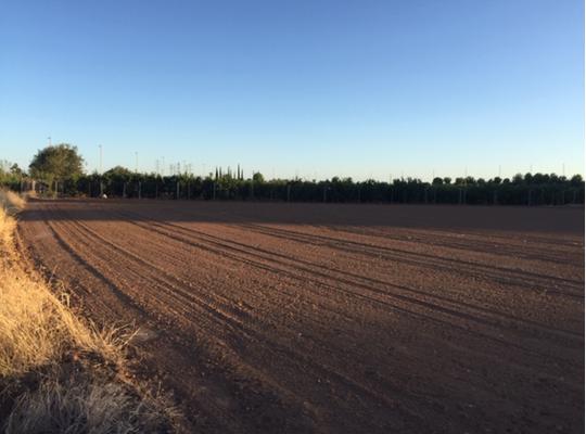 Finca rústica en Valencia