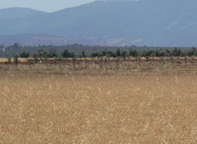 Finca rustica en Toledo