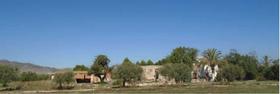 Finca rustica en Murcia