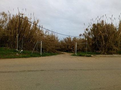 Finca rústica en Sevilla