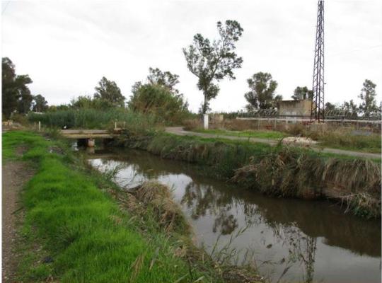 Finca rústica en Castellon