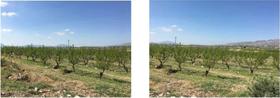 Finca rustica en Murcia