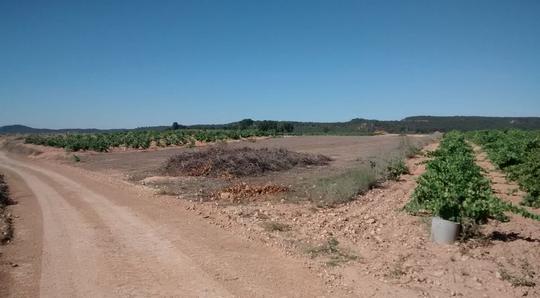 Finca rustica en Valencia