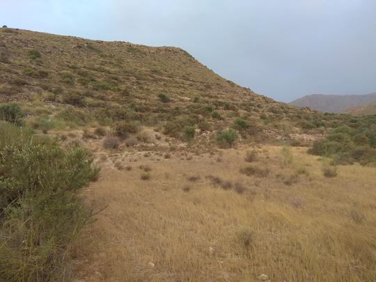 Finca rústica en Almeria