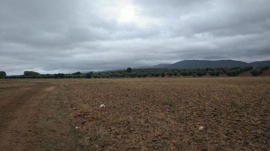 Finca rústica en Toledo