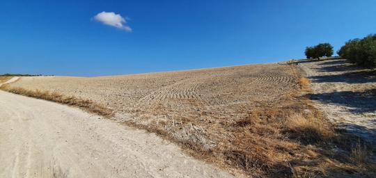 Finca rústica en Malaga