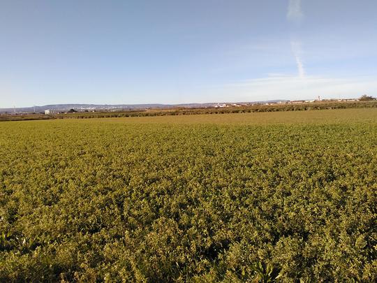 Finca rústica en Zaragoza