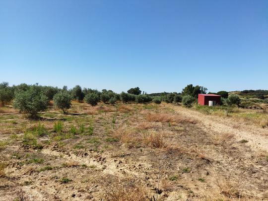 Finca rústica en Caceres