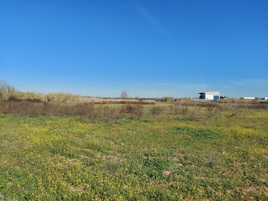 Finca rústica en Sevilla