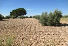 Finca rustica en Cuenca