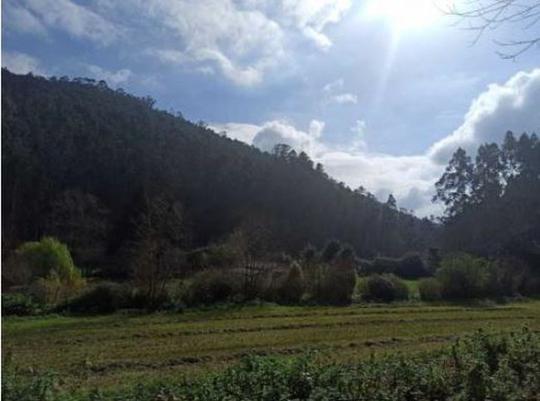 Finca rústica en Asturias