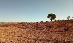 Finca rustica en Cuenca